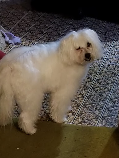 Pet Supply Store «PetSmart», reviews and photos, 5 Hampton House Rd, Newton, NJ 07860, USA