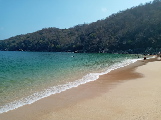 Maguey Strand