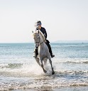 Sicily Horse Riding