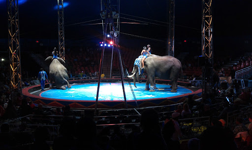 Shopping Mall «Freedom Mart Shopping Center», reviews and photos, 3164 Freedom Dr, Charlotte, NC 28208, USA