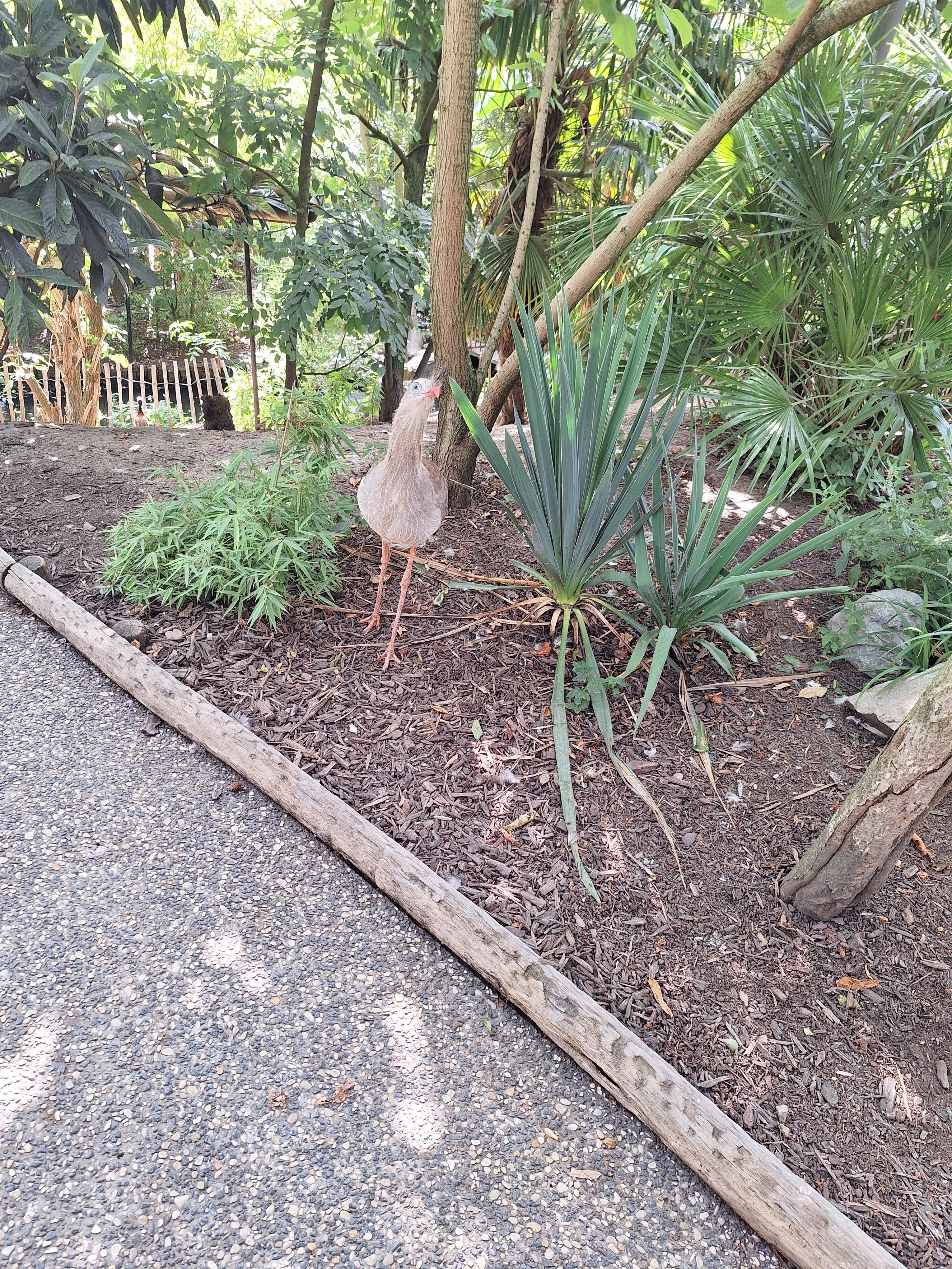 Photo n° 4 de l'avis de Alison.e fait le 31/08/2023 à 11:30