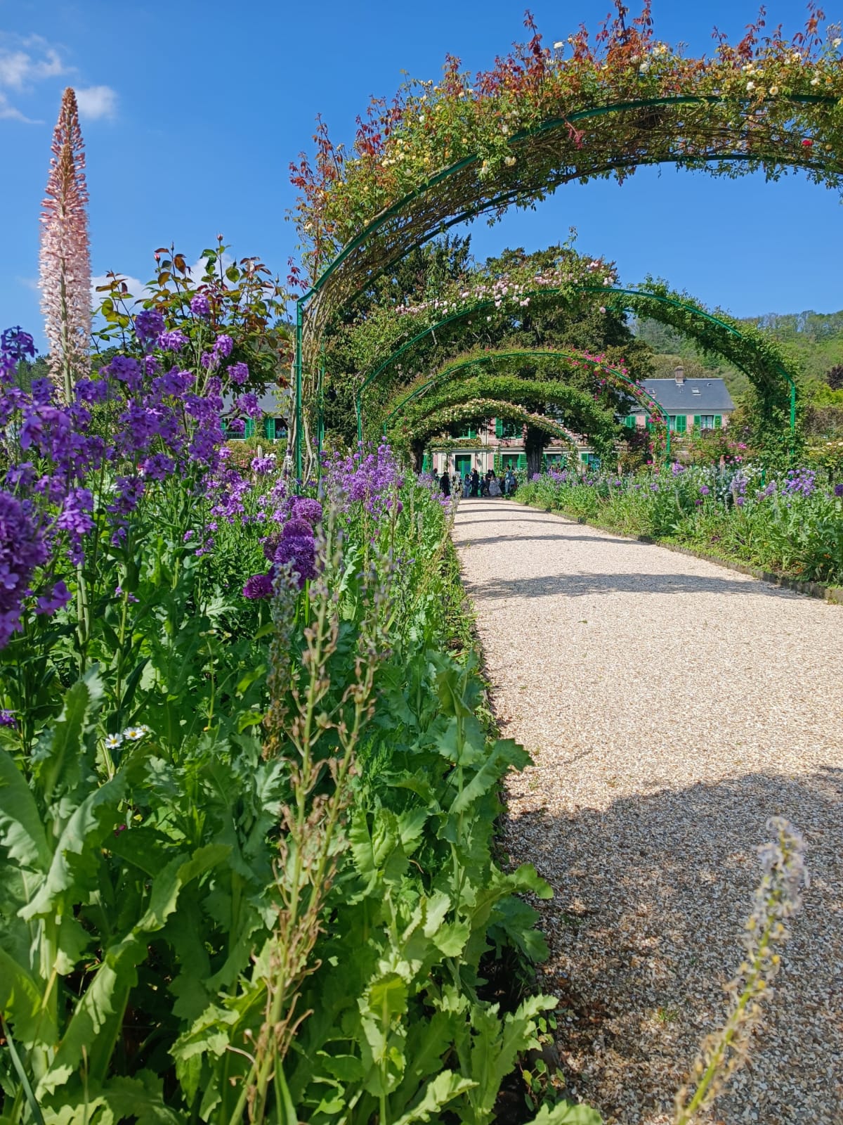 Photo n° 3 de l'avis de Jérémy. fait le 26/05/2023 à 20:32