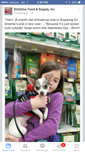 Pet Supply Store «Stoltzfus Feed & Supply», reviews and photos, 80 PA-41, Gap, PA 17527, USA