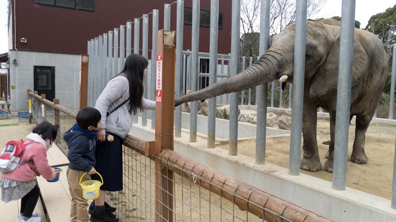 しろとり動物園 香川県東かがわ市松原 動物園 動物園 グルコミ