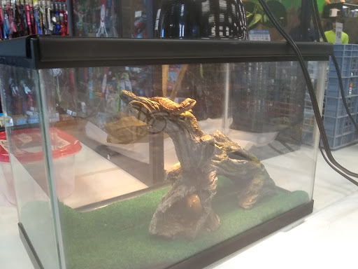 Pet Store «Pet Valu», reviews and photos, 1091 Mill Creek Rd #5a, Allentown, PA 18106, USA