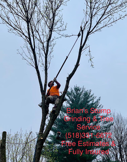 Brian's Stump Grinding and Tree Service