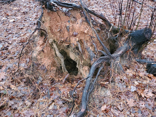 Nature Preserve «Hemlock Bluffs Nature Preserve», reviews and photos, 2616 Kildaire Farm Rd, Cary, NC 27511, USA