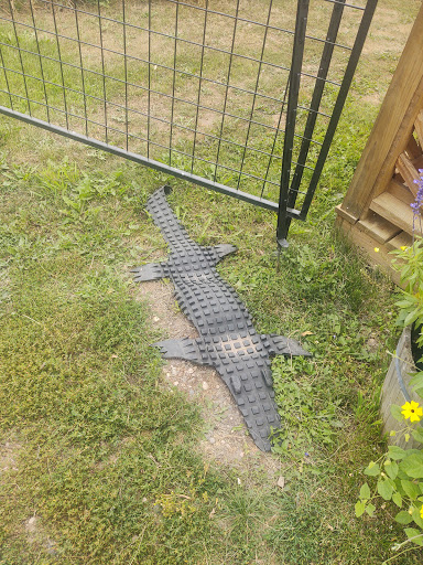 Zoo «Trowbridge Creek Zoo», reviews and photos, 50622 Co Rd 17, Vergas, MN 56587, USA