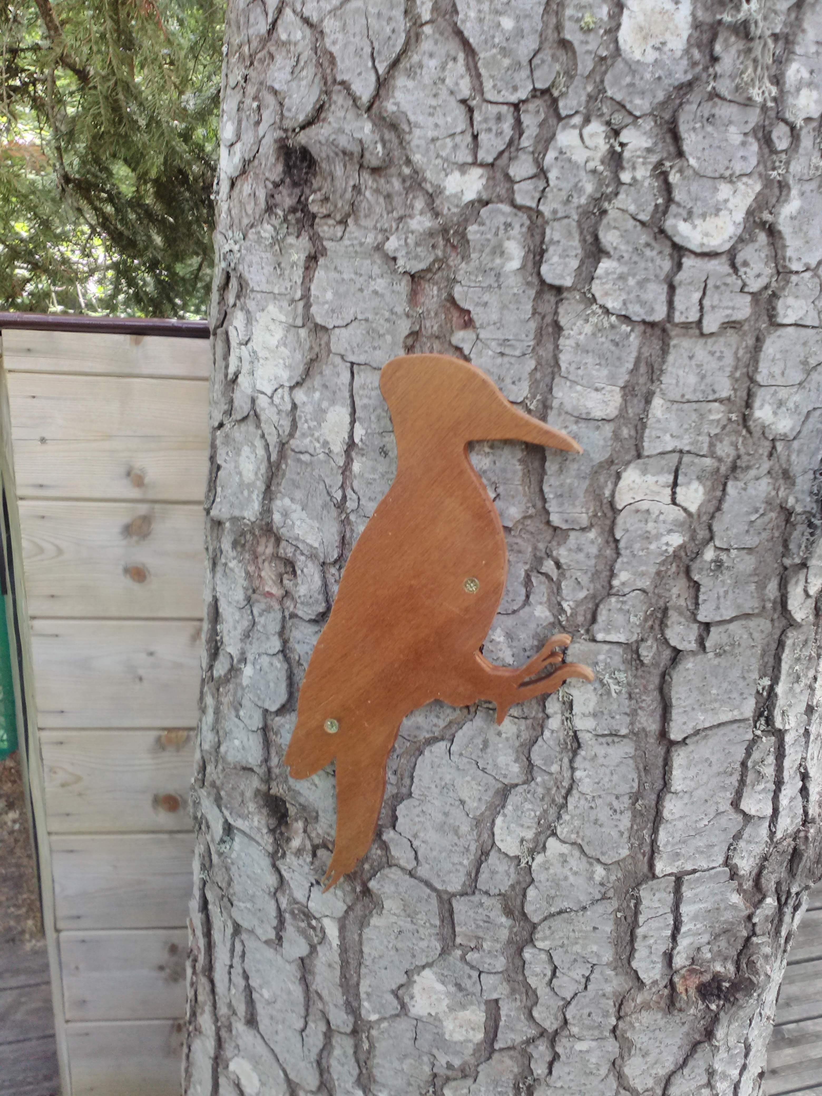 Photo n° 6 de l'avis de Robin.a fait le 15/08/2019 à 13:50