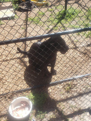 Tourist Attraction «Panther Ridge Conservation Center», reviews and photos, 14755 Palm Beach Point Blvd, Wellington, FL 33414, USA