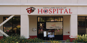 Little Paws Dog & Cat Hospital