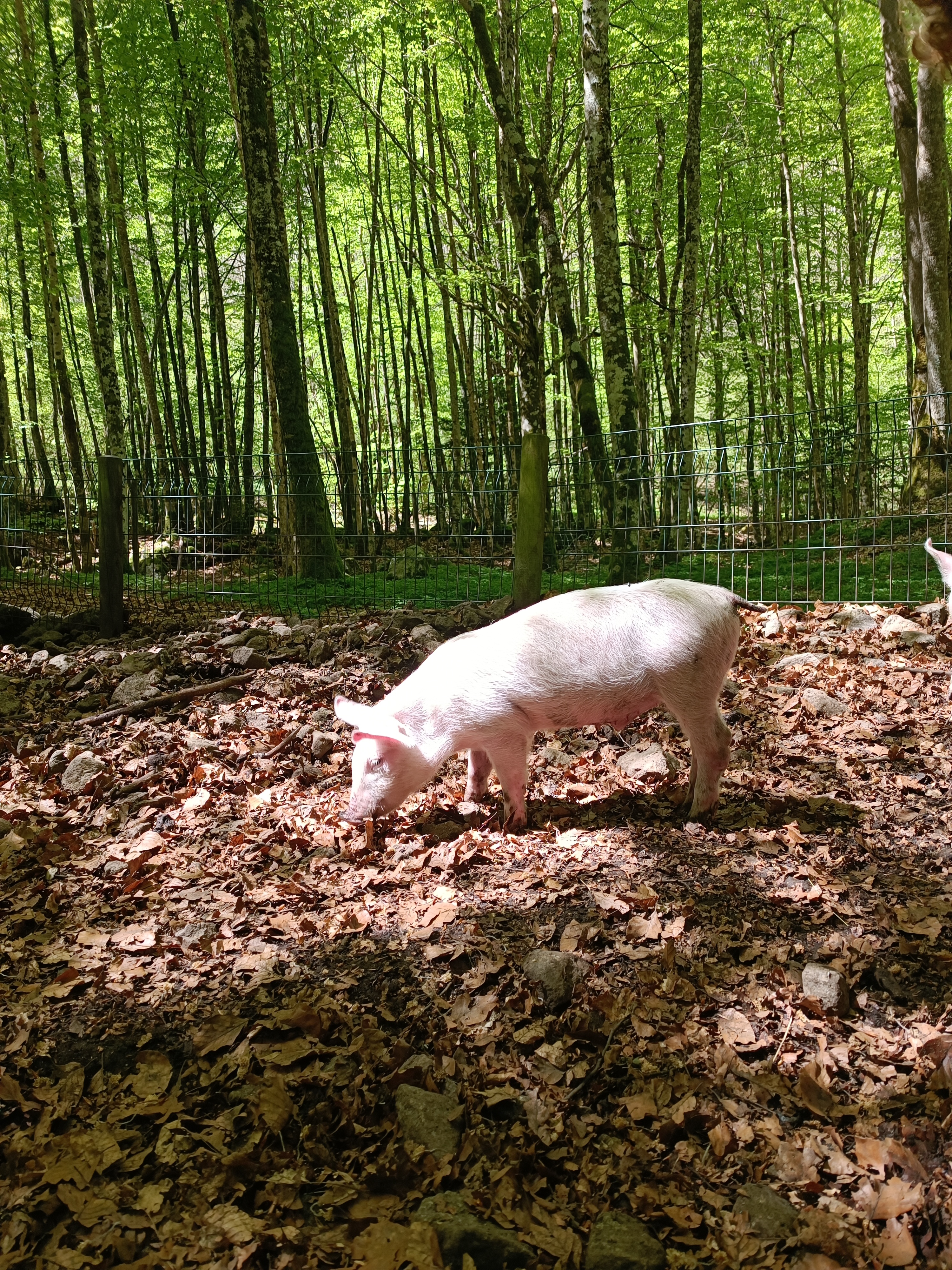 Photo n° 3 de l'avis de Leandre.e fait le 04/05/2023 à 06:51