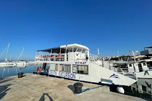 Dolphin excursions image