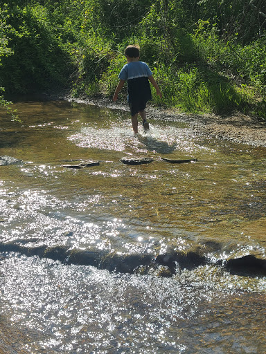 Nature Preserve «Elizabethtown Nature Park», reviews and photos, 1900 Ring Rd, Elizabethtown, KY 42701, USA