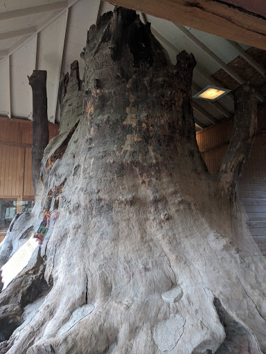 Tourist Attraction «Sycamore Stump», reviews and photos, 1402 Defenbaugh St, Kokomo, IN 46902, USA
