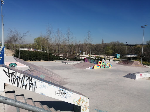 Skatepark Manzanares