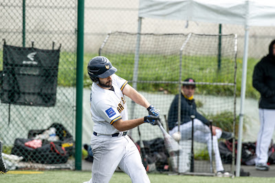 Marcassins Baseball Club à Les Herbiers