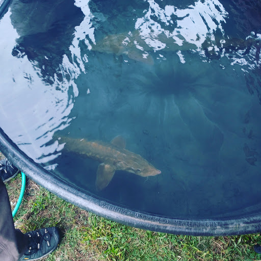 Museum «Dossin Great Lakes Museum», reviews and photos, 100 The Strand, Detroit, MI 48207, USA