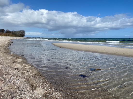 Maasholm strand