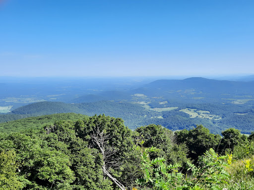 Movie Theater «Landmark Theatres Bethesda Row Cinema», reviews and photos, 7235 Woodmont Ave, Bethesda, MD 20814, USA