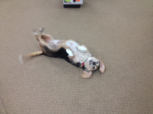 Electronics Store «Your Digital Partner - The Electronics Store in Loudonville, Ohio», reviews and photos, 207 W Main St, Loudonville, OH 44842, USA