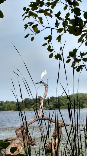 Park «Theodore Wirth Regional Park», reviews and photos, 1339 Theodore Wirth Pkwy, Golden Valley, MN 55422, USA
