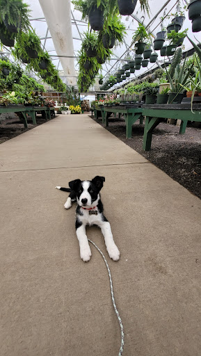 Garden Center «Quality Gardens», reviews and photos, 409 PA-228, Valencia, PA 16059, USA