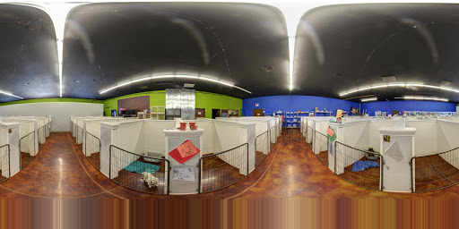 Pet Boarding Service «Pet Palace», reviews and photos, 2803 Trough Springs Rd, Clarksville, TN 37043, USA