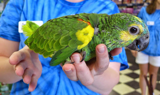 Pet Store «The Pet Place», reviews and photos, 240 Shadowline Dr, Boone, NC 28607, USA