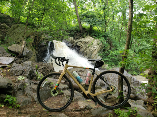 Bicycle Store «Pedal Pusher», reviews and photos, 3798 Walnut St, Harrisburg, PA 17109, USA