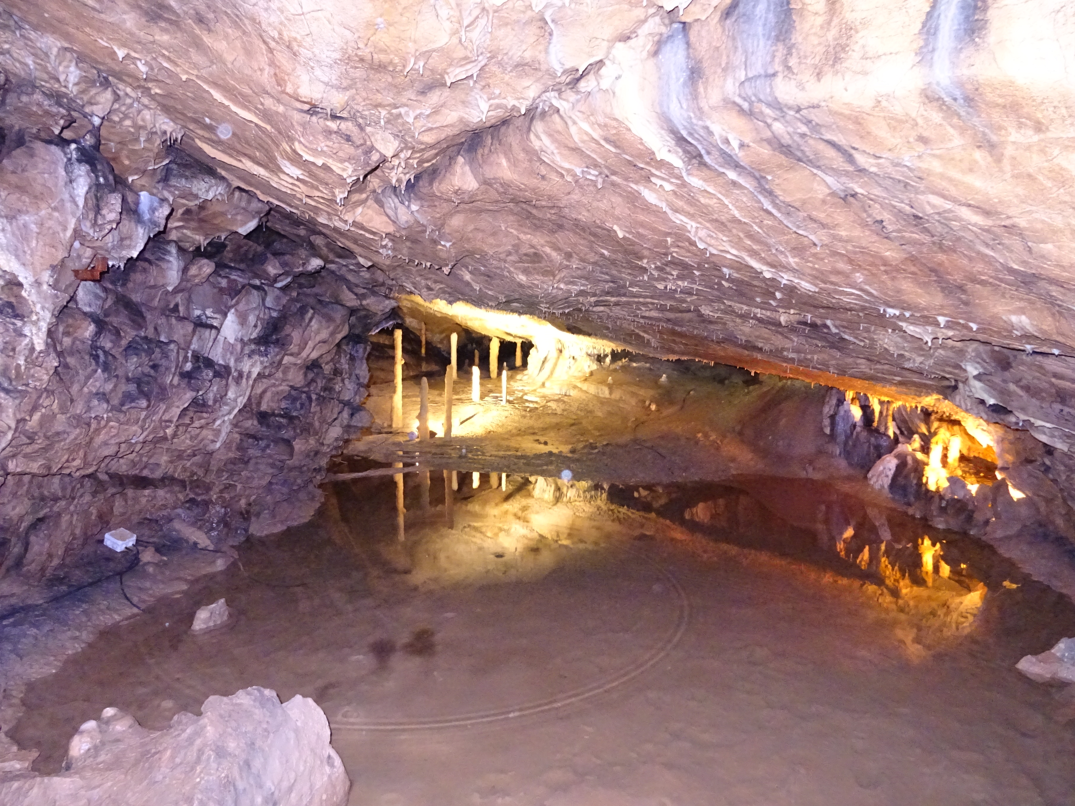 Photo n° 4 de l'avis de 63.s fait le 21/08/2019 à 17:26