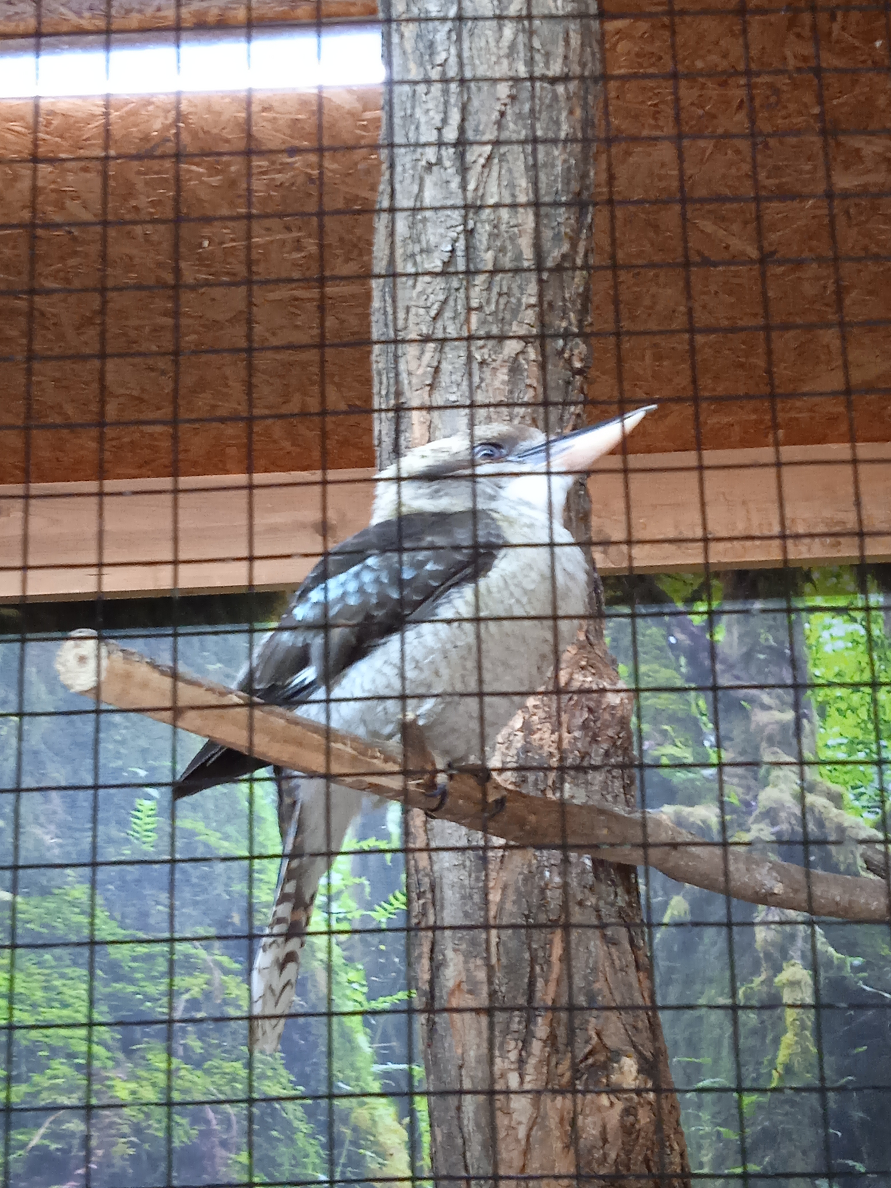 Photo n° 3 de l'avis de Gamer.p fait le 04/06/2022 à 18:21