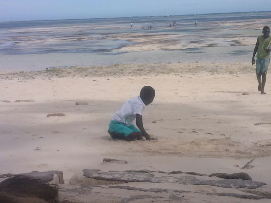 Shelly Beach