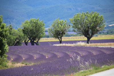 PROVENCE GUIDE à Aix-en-Provence