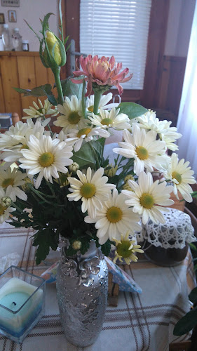 Рила пропъртис - Агенция за недвижими имоти