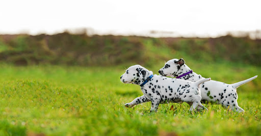 90 Westbank Expy, Gretna, LA 70053, USA