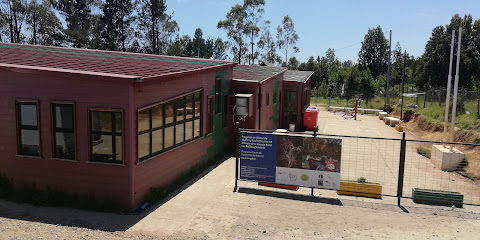 Escuela Rural Intercultural Bilingüe Los Pellines