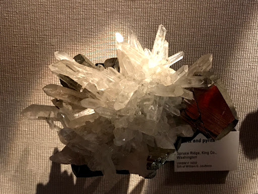 Natural History Museum «Burke Museum of Natural History and Culture», reviews and photos, 1413 NE 45th St, Seattle, WA 98105, USA