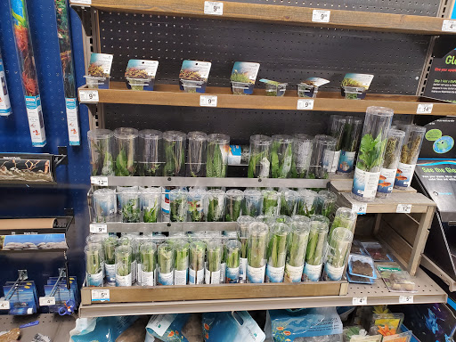 Pet Supply Store «Petco Animal Supplies», reviews and photos, 86 Storrs Rd, Mansfield Center, CT 06250, USA