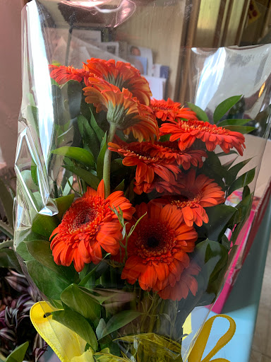 Florist «McCandless Floral», reviews and photos, 8105 Perry Hwy, Pittsburgh, PA 15237, USA