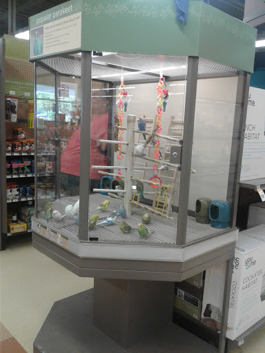 Pet Supply Store «Petco Animal Supplies», reviews and photos, 13 Welles St, Glastonbury, CT 06033, USA