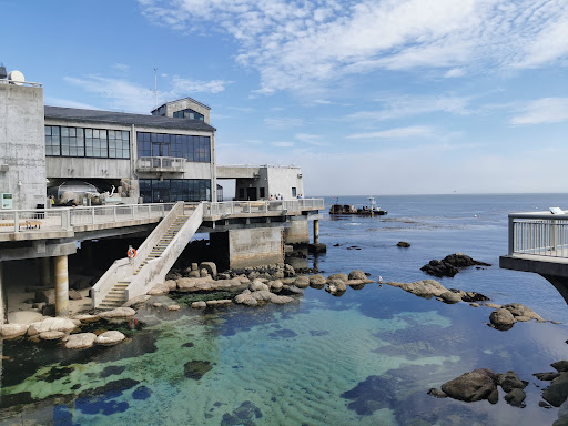 Aquarium «Monterey Bay Aquarium», reviews and photos, 886 Cannery Row, Monterey, CA 93940, USA