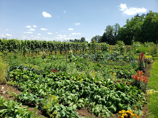 Winery «Hanson Vineyards», reviews and photos, 34948 S Barlow Rd, Woodburn, OR 97071, USA