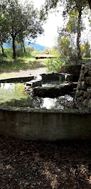 Sources de Nayes du Restaurant Les Terrasses du Lac à Signes - n°1