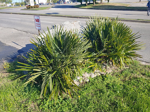 Liquor Store «Rivergate Wines & Liquors», reviews and photos, 752 Rivergate Pkwy, Goodlettsville, TN 37072, USA