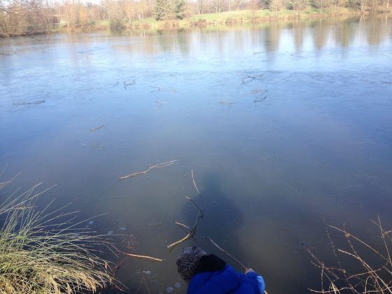 Photos des visiteurs Résidence Résidence Beauval 33530 Bassens