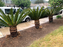 Aster Landscaping - Photo 5 - Car repair in , Murrieta