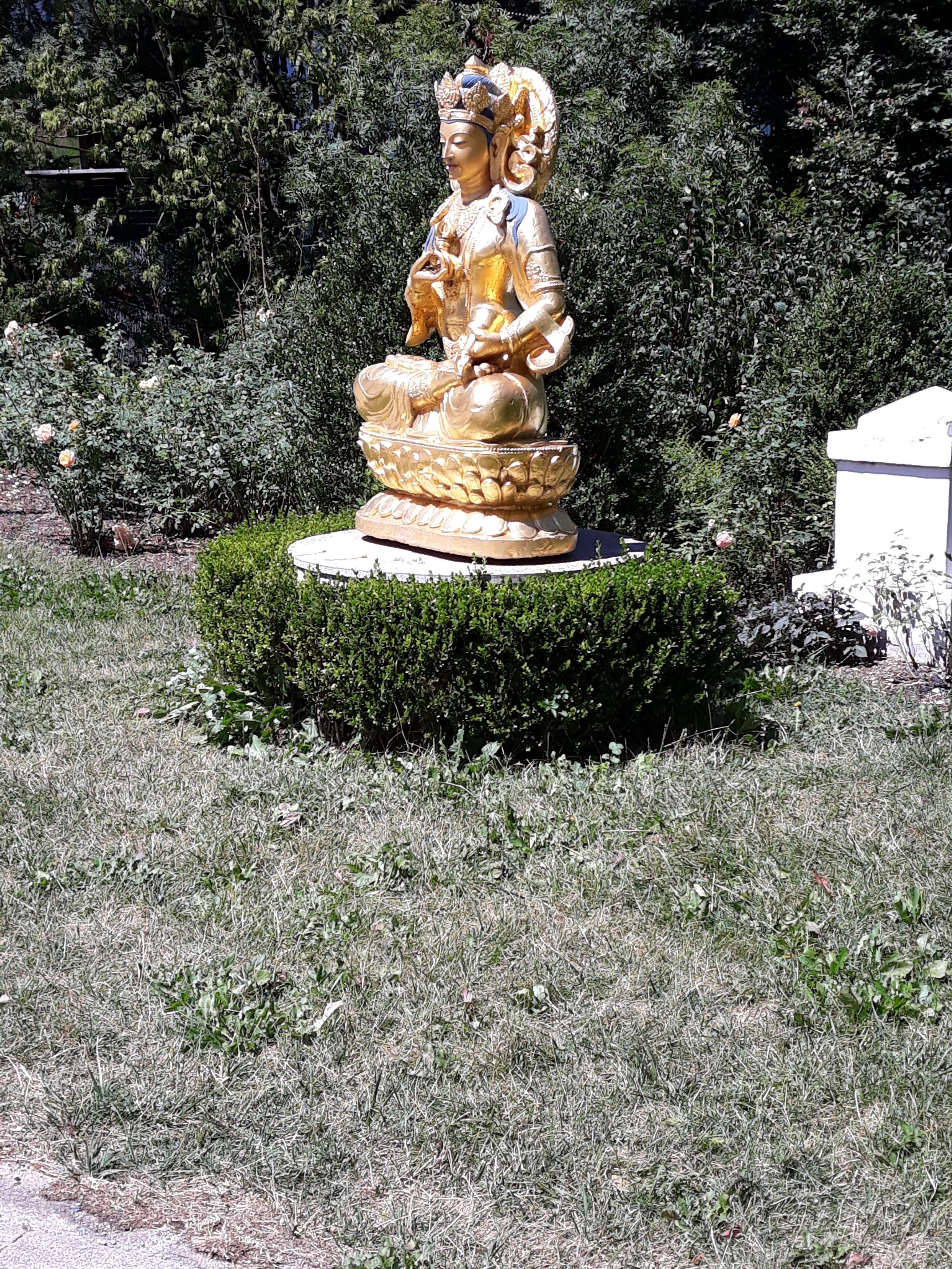 Photo n° 3 de l'avis de sandy.f fait le 04/09/2020 à 22:45