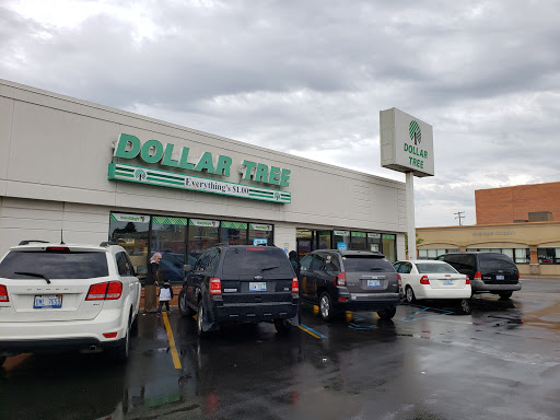 Dollar Store «Dollar Tree», reviews and photos, 10830 Warren Ave, Dearborn, MI 48126, USA