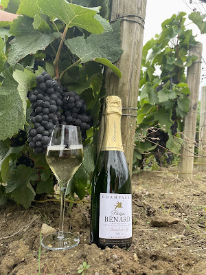 Scev Philippe Benard à Aÿ-Champagne